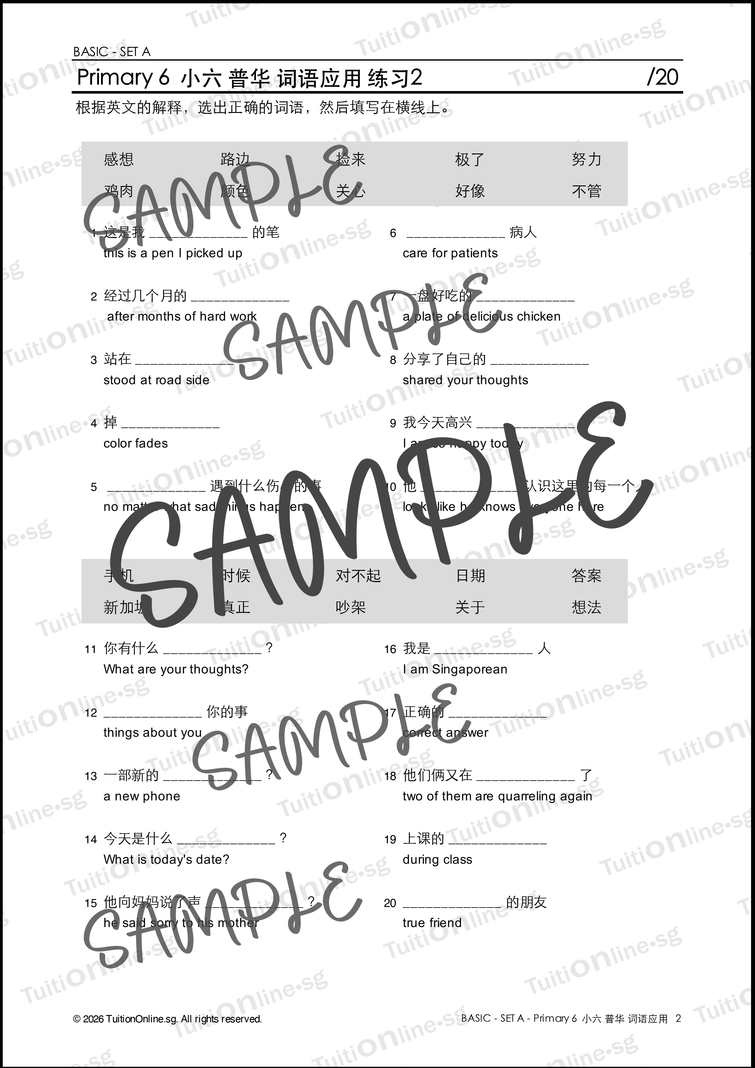 Pri 6 Chinese 词语应用 Word Application (Basic - Set A) - DIGITAL Copy