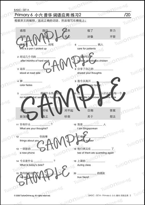 Pri 6 Chinese 词语应用 Word Application (Basic - Set A) - DIGITAL Copy