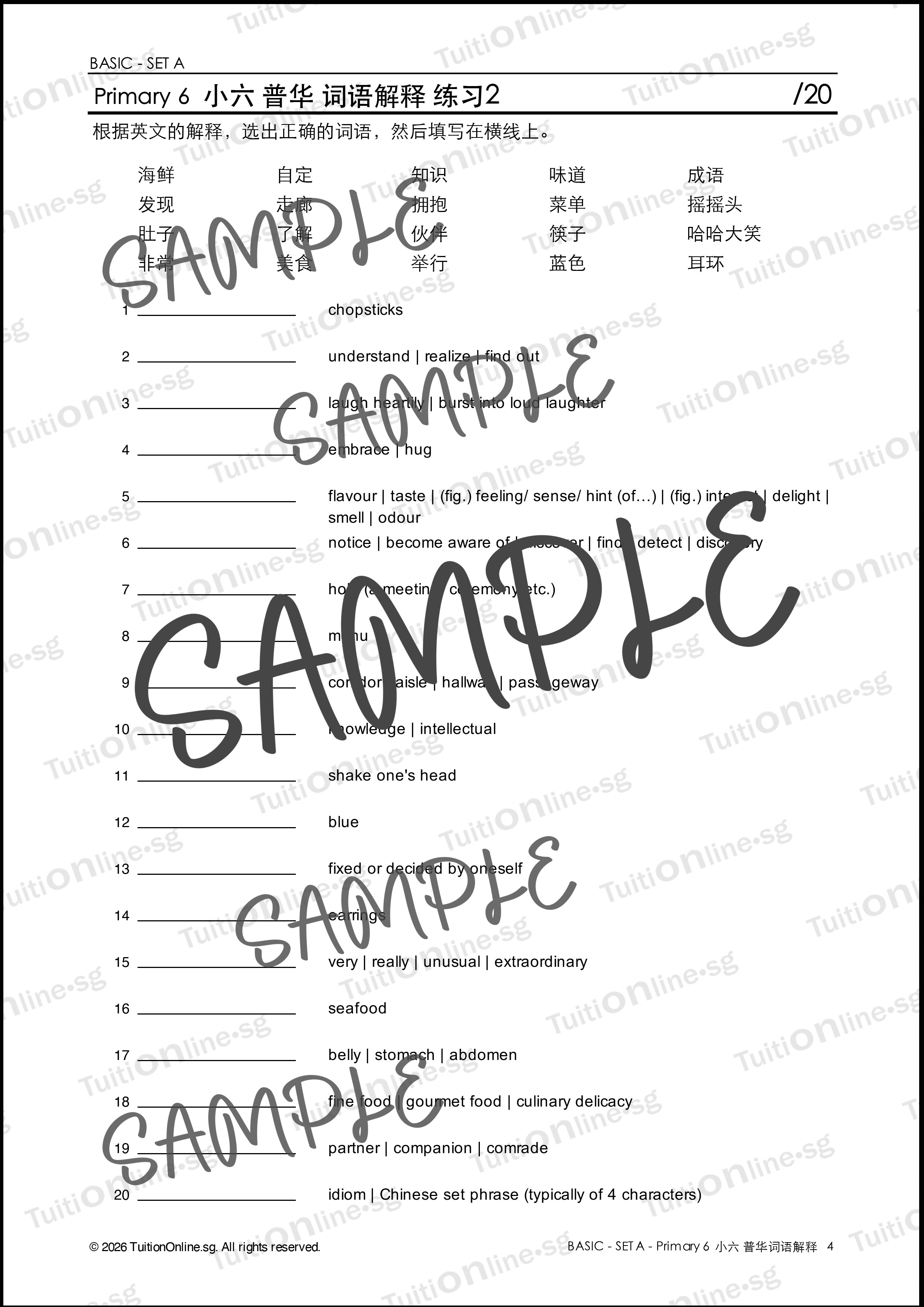 Pri 6 Chinese 词语解释 Word Meanings (Basic - Set A) with Practice - DIGITAL Copy