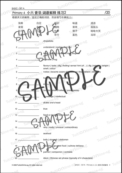 Pri 6 Chinese 词语解释 Word Meanings (Basic - Set A) with Practice - DIGITAL Copy