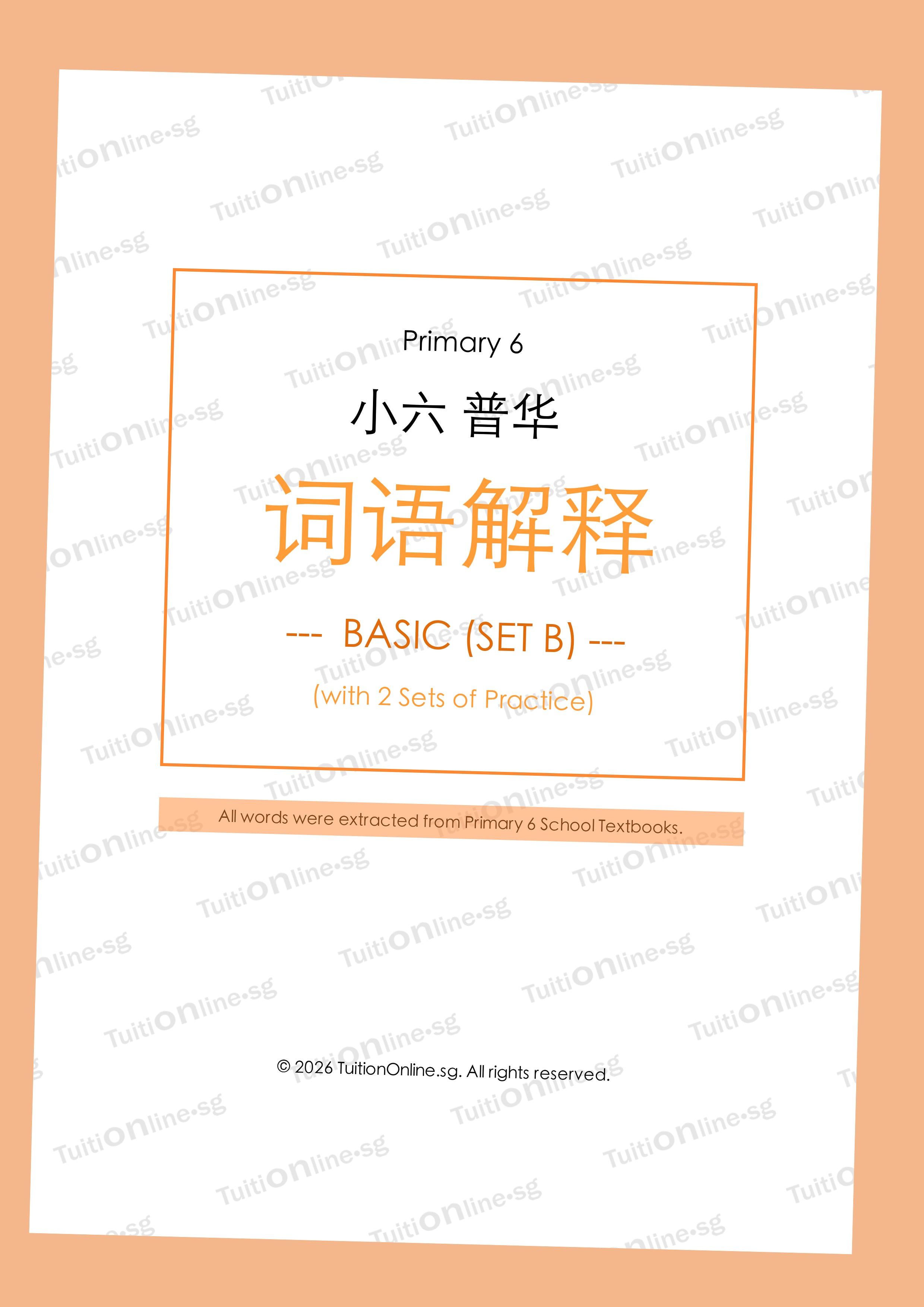 Pri 6 Chinese 词语解释 Word Meanings (Basic - Set B) with Practice - DIGITAL Copy