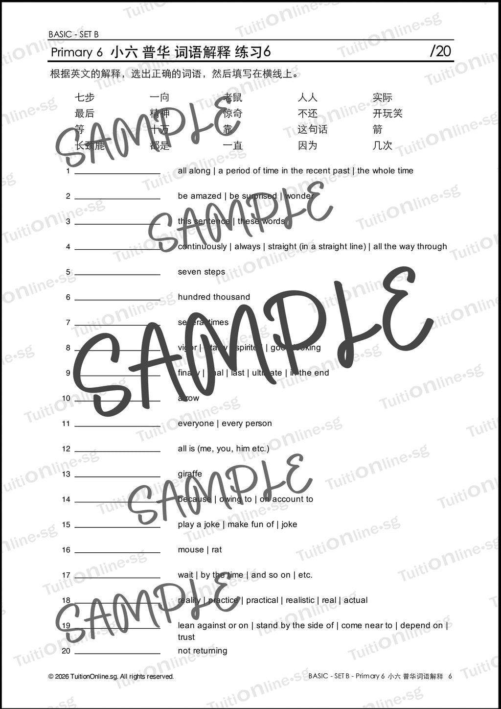 Pri 6 Chinese 词语解释 Word Meanings (Basic - Set B) - DIGITAL Copy