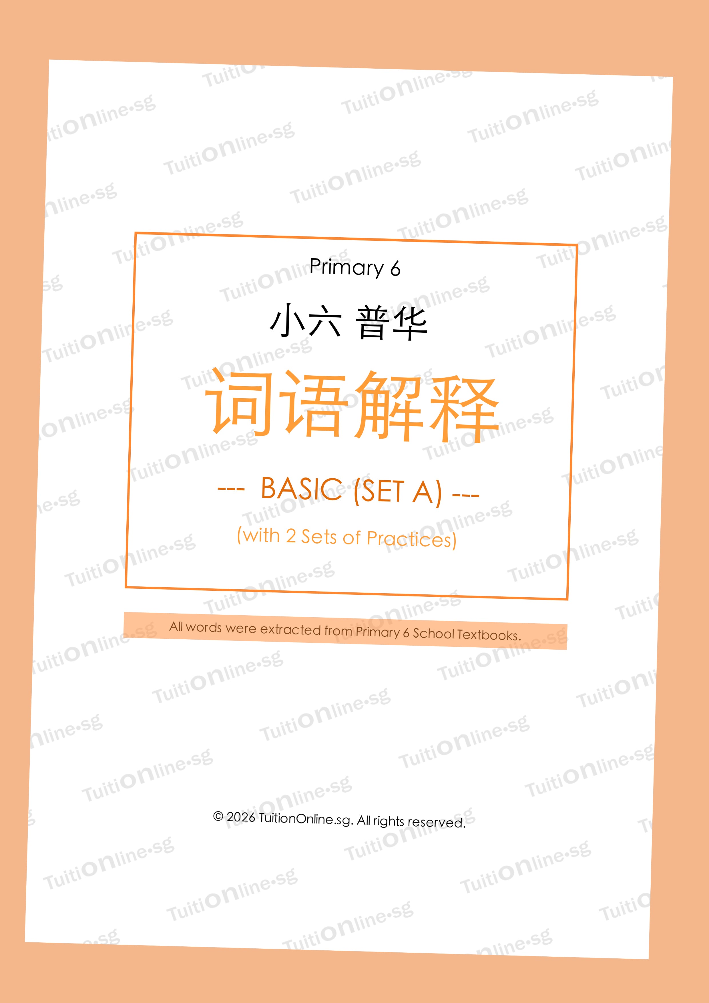 Pri 6 Chinese 词语解释 Word Meanings (Basic - Set A) with Practice - DIGITAL Copy