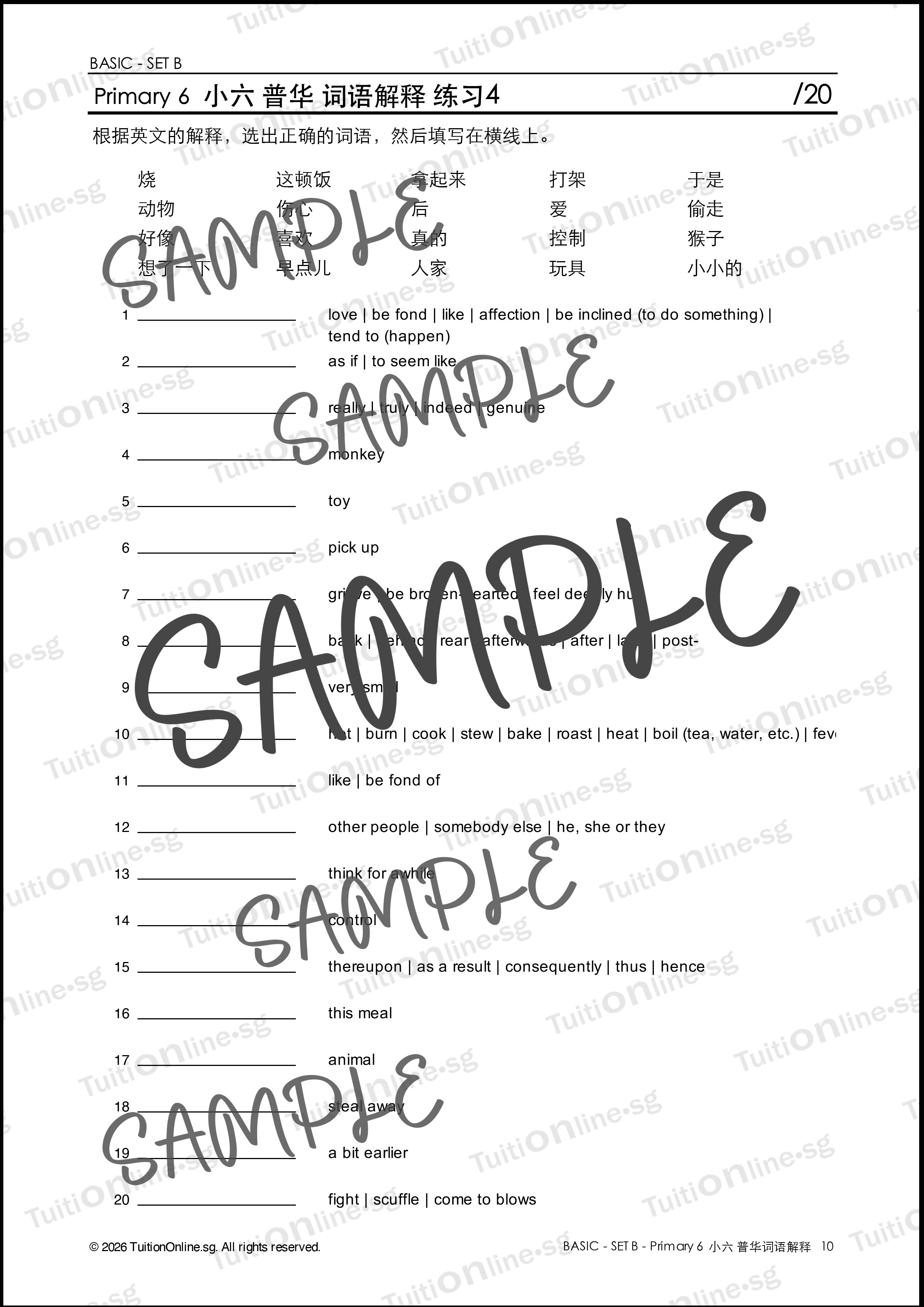 Pri 6 Chinese 词语解释 Word Meanings (Basic - Set B) with Practice - DIGITAL Copy
