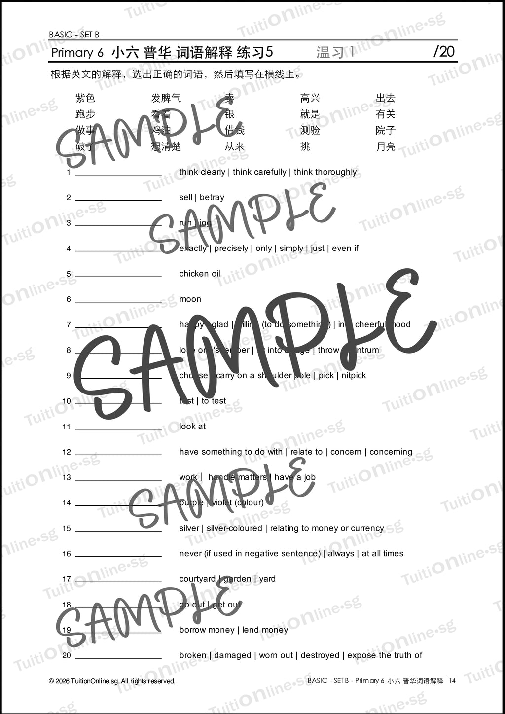 Pri 6 Chinese 词语解释 Word Meanings (Basic - Set B) with Practice - DIGITAL Copy