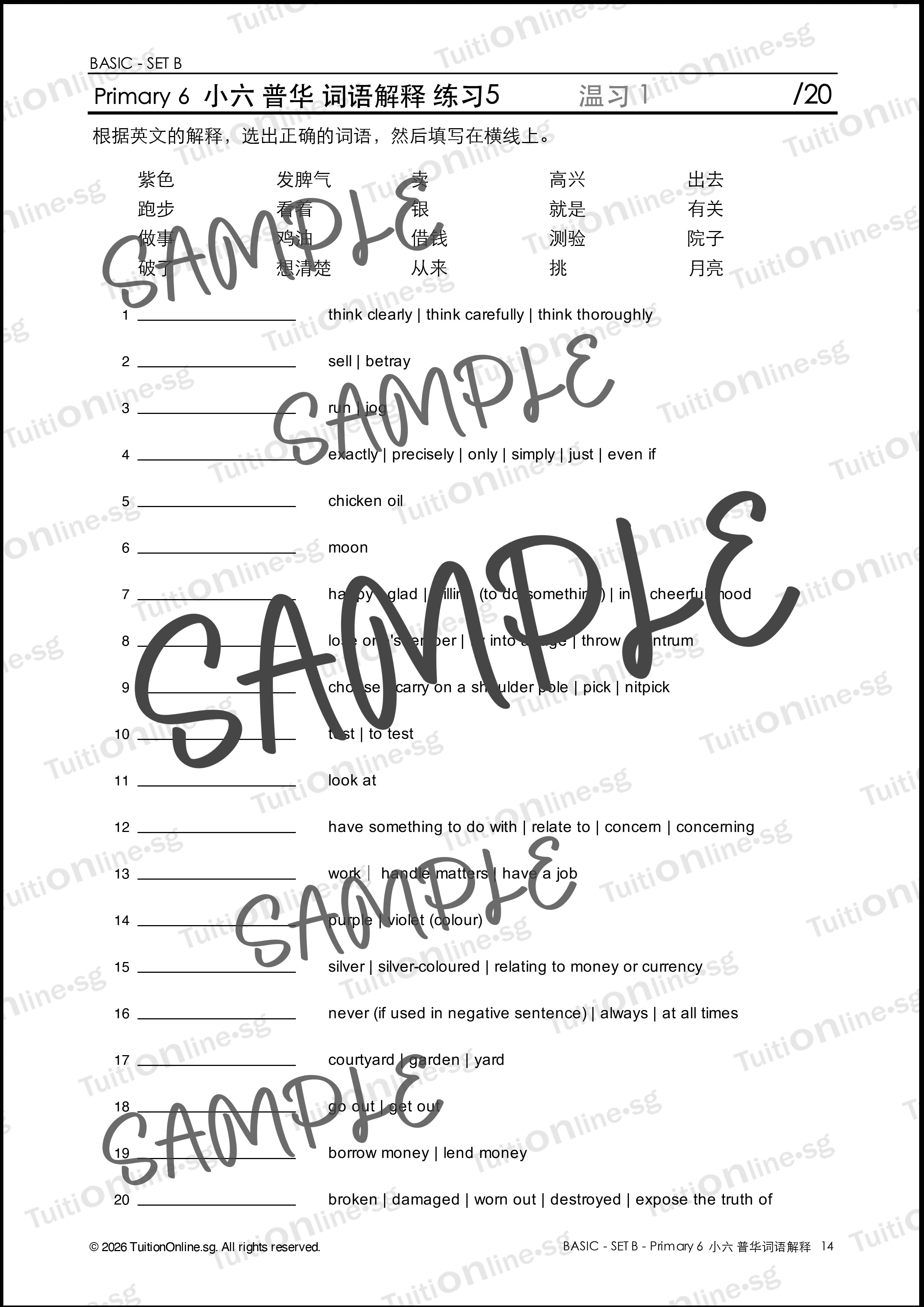 Pri 6 Chinese 词语解释 Word Meanings (Basic - Set B) with Practice - DIGITAL Copy