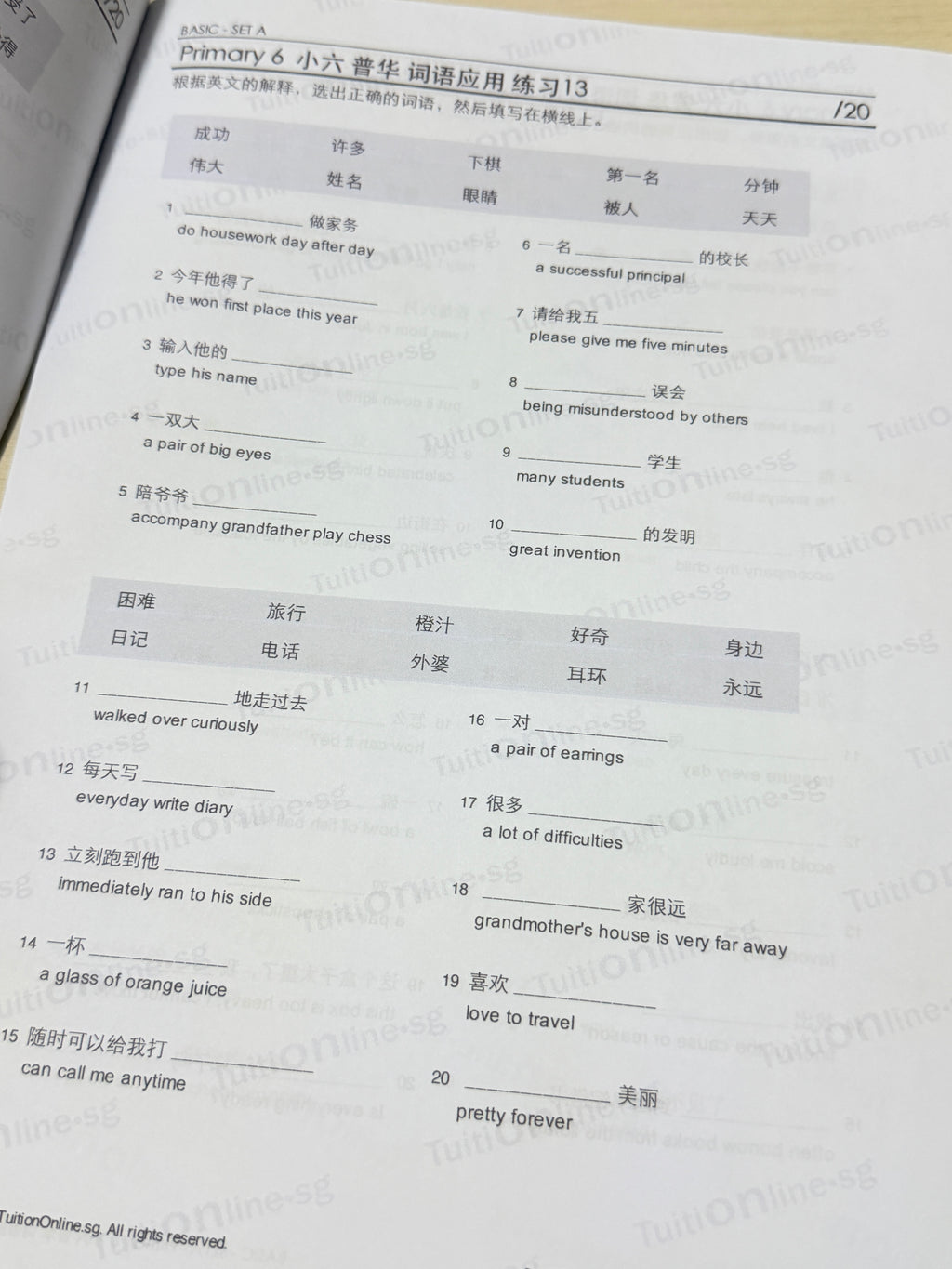 Pri 6 Chinese 词语应用 Word Applications (Basic - Set A) - HARD copy
