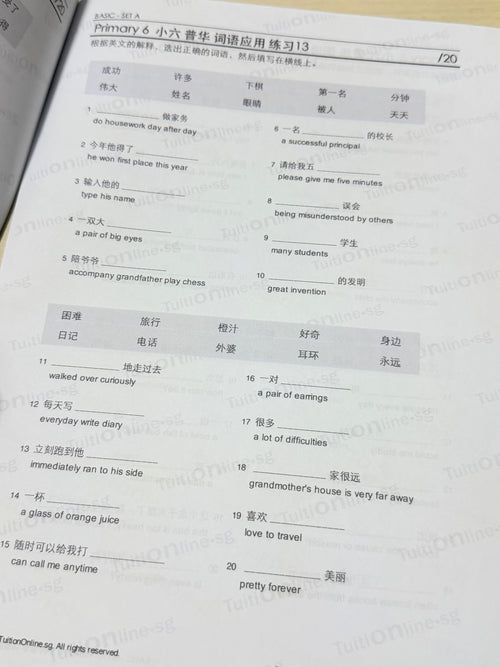Pri 6 Chinese 词语应用 Word Applications (Basic - Set A) - HARD copy