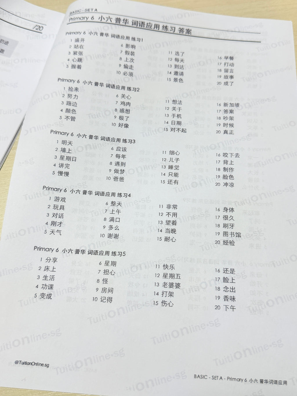 Pri 6 Chinese 词语应用 Word Applications (Basic - Set A) - HARD copy