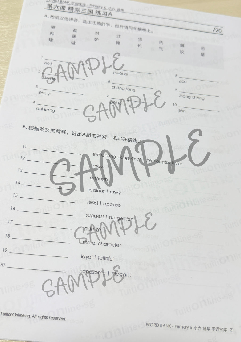 Pri 6 Chinese 字词宝库 Word Bank - HARD copy