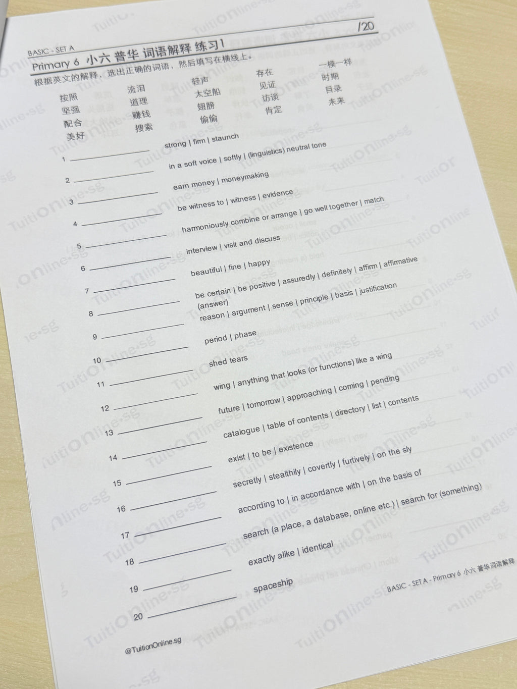 Pri 6 Chinese 词语解释 Word Meanings (Basic - Set A) - HARD copy