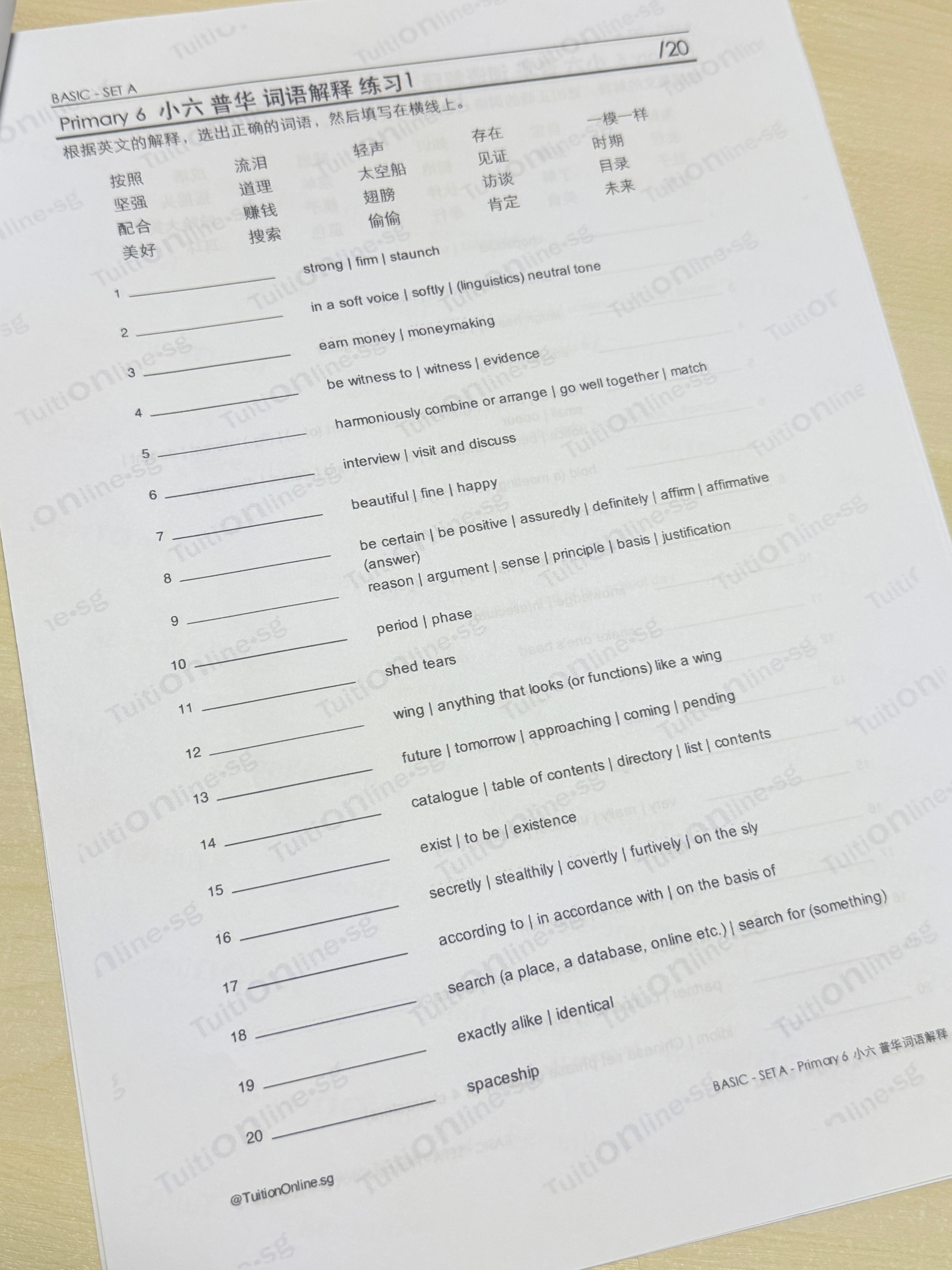 Pri 6 Chinese 词语解释 Word Meanings (Basic - Set A) - HARD copy