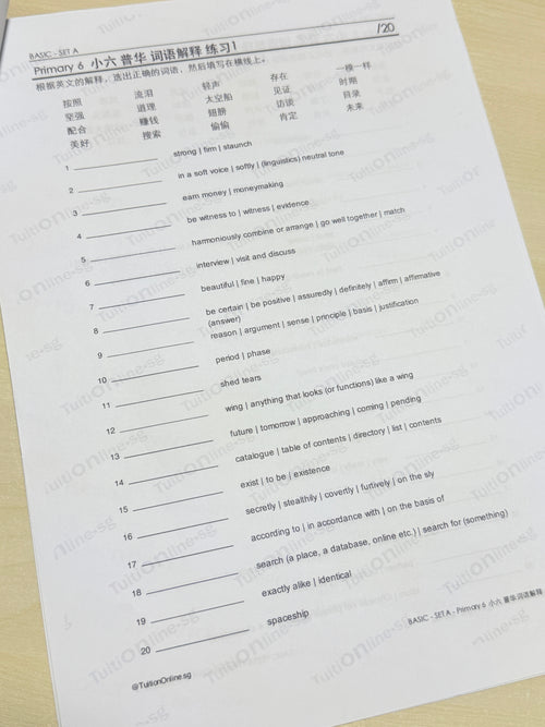 Pri 6 Chinese 词语解释 Word Meanings (Basic - Set A) - HARD copy