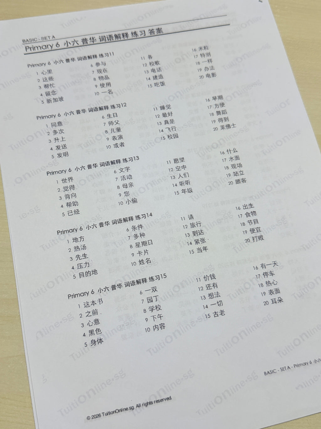 Pri 6 Chinese 词语解释 Word Meanings (Basic - Set A) - HARD copy