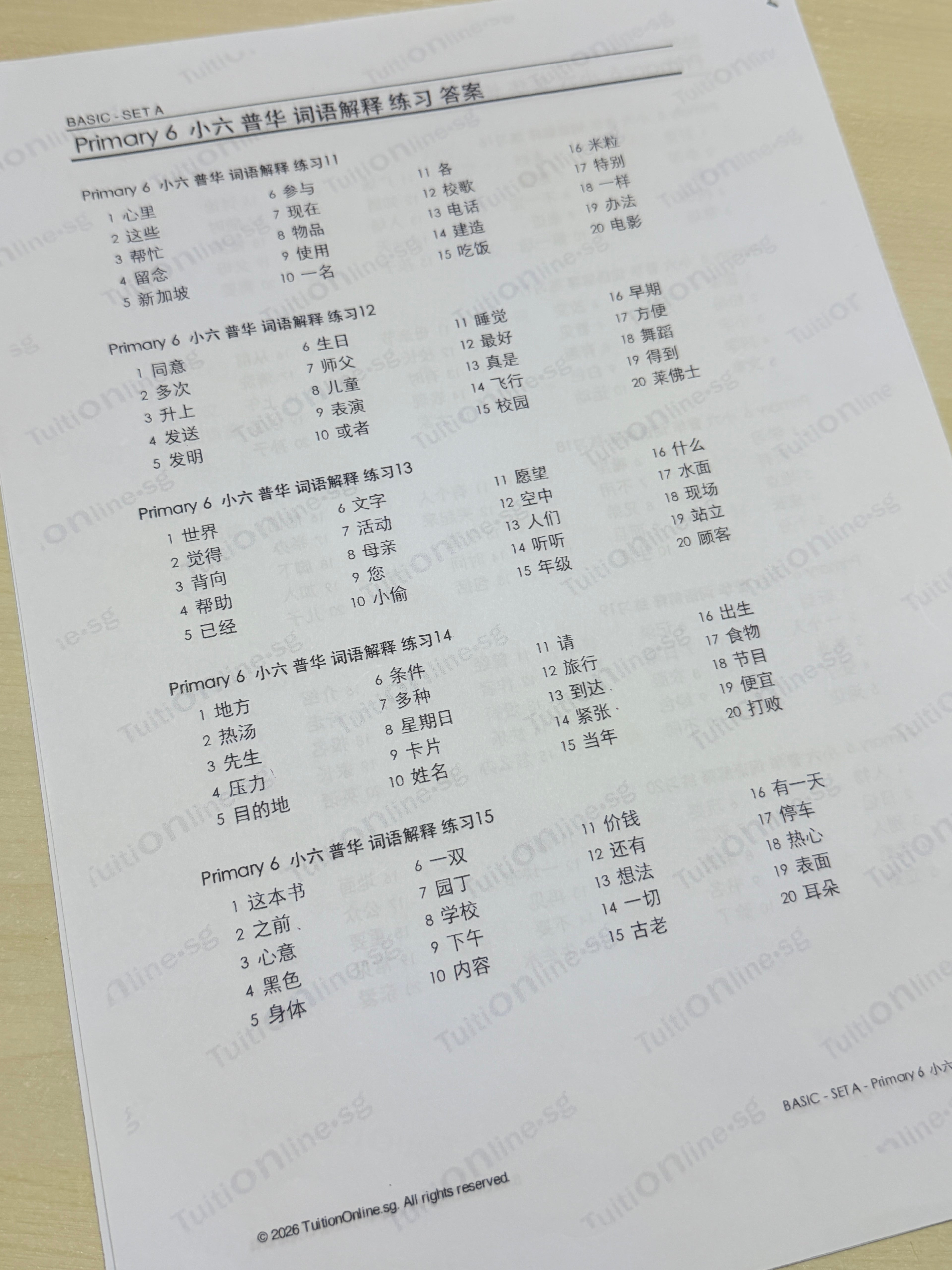 Pri 6 Chinese 词语解释 Word Meanings (Basic - Set A) - HARD copy
