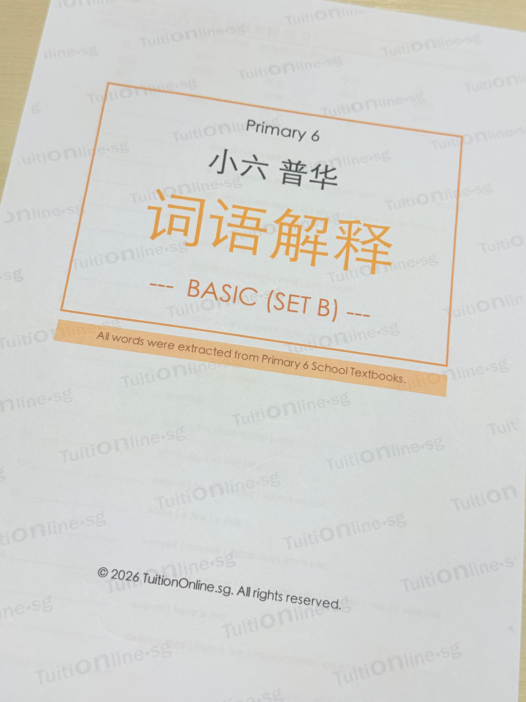 Pri 6 Chinese 词语解释 Word Meanings (Basic - Set B) - HARD copy