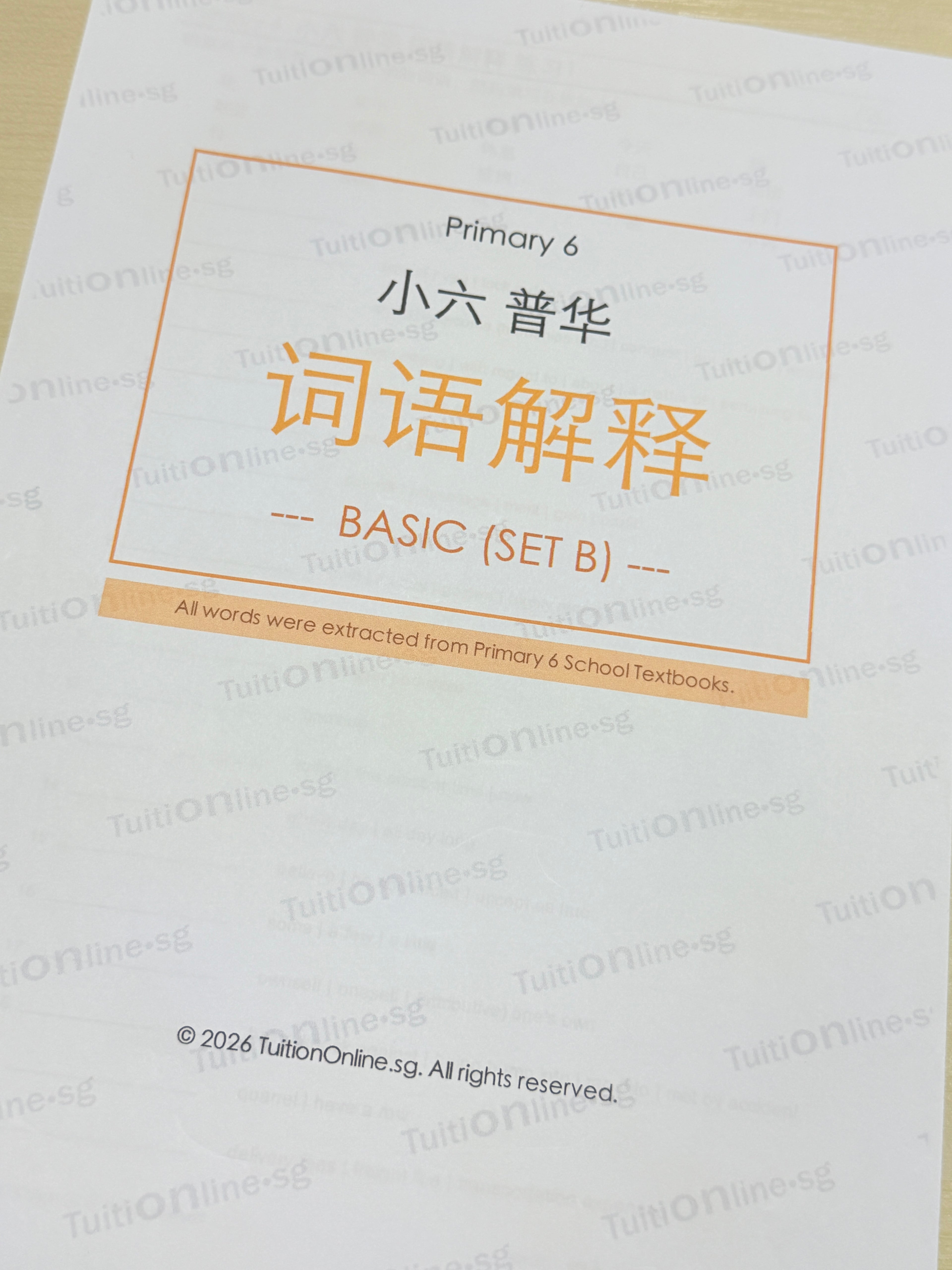Pri 6 Chinese 词语解释 Word Meanings (Basic - Set B) - HARD copy