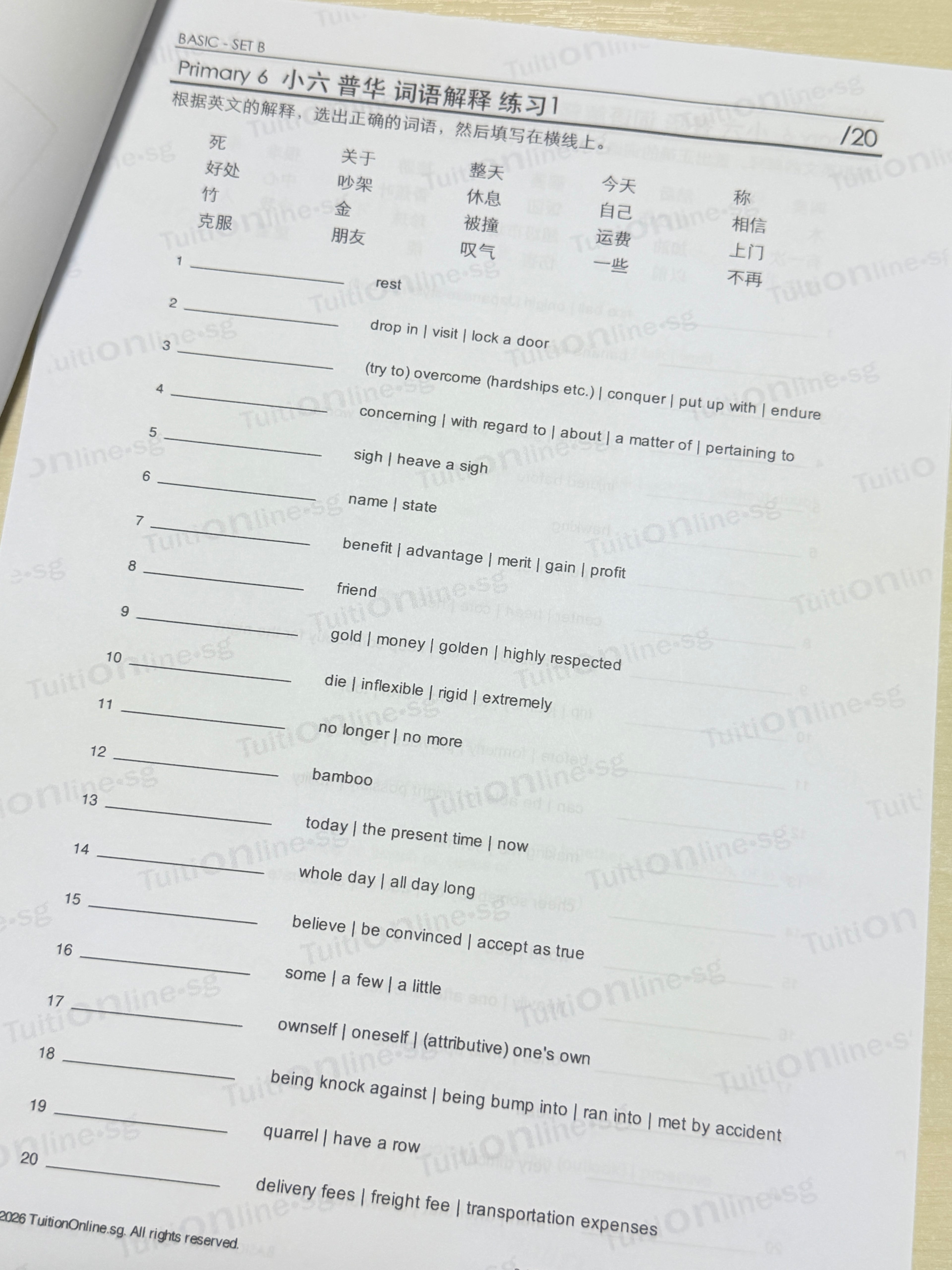 Pri 6 Chinese 词语解释 Word Meanings (Basic - Set B) - HARD copy