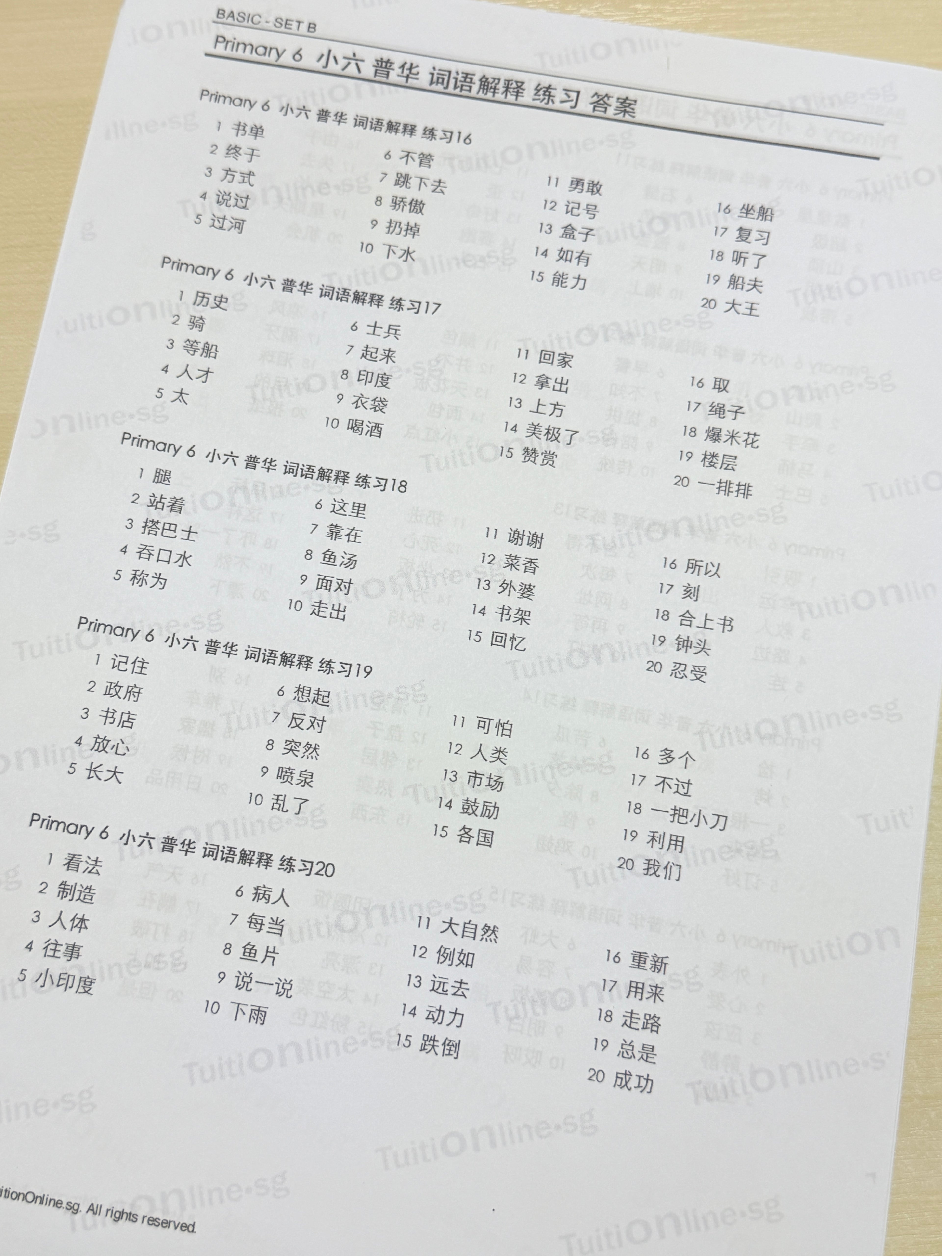 Pri 6 Chinese 词语解释 Word Meanings (Basic - Set B) - HARD copy